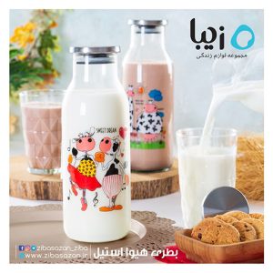 بطری هیوا استیل